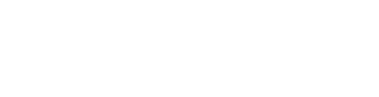 Audace Logística
